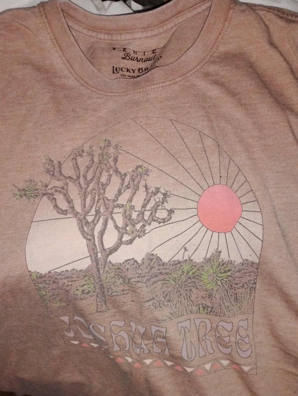 Lucky Brand Pink Joshua Tree Graphic Tee
